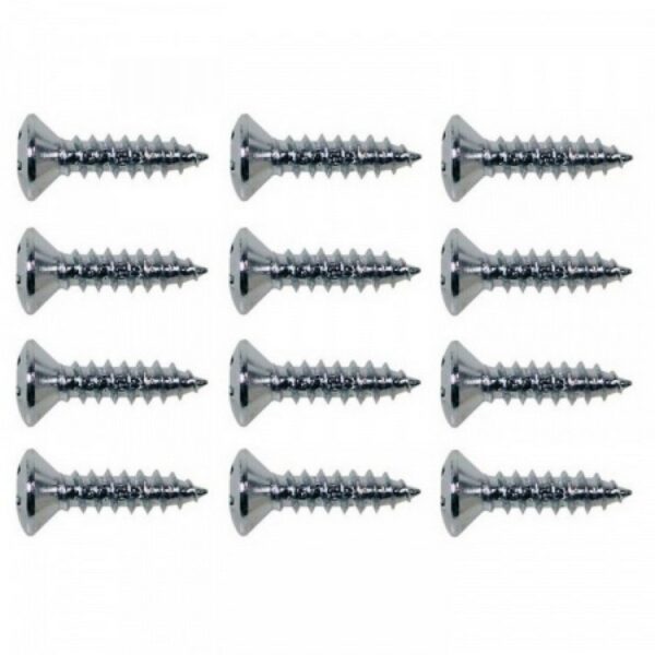 Boston TS-01-N vijak za pickguard