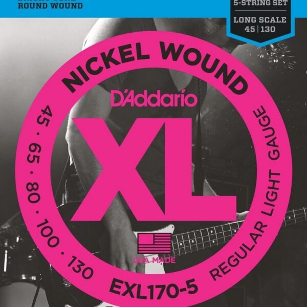 Daddario EXL170-5